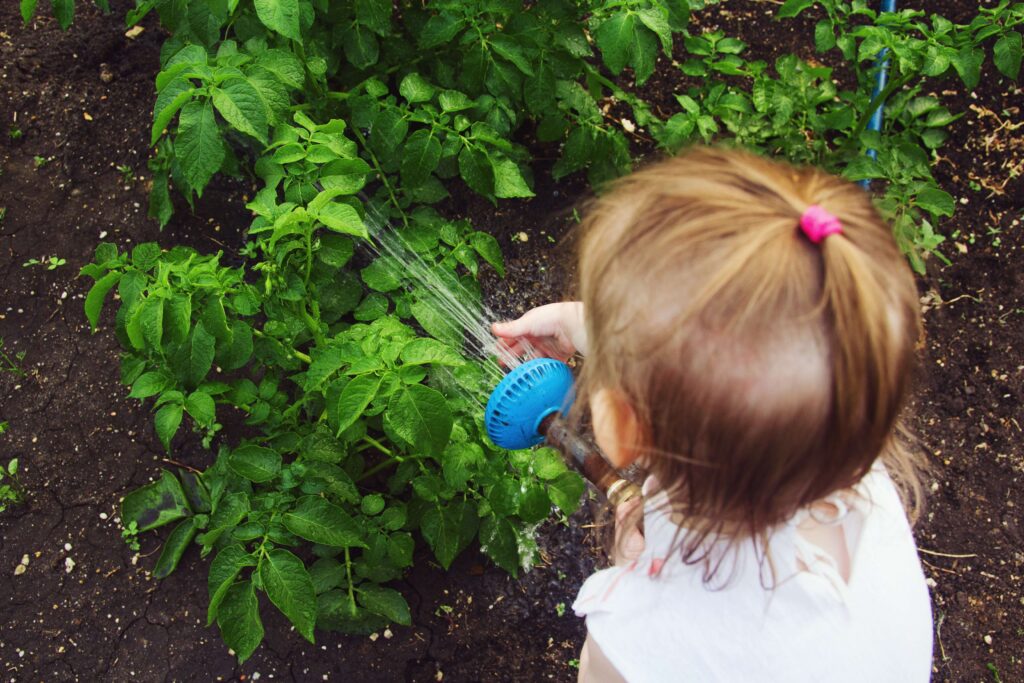 toddler gardening
