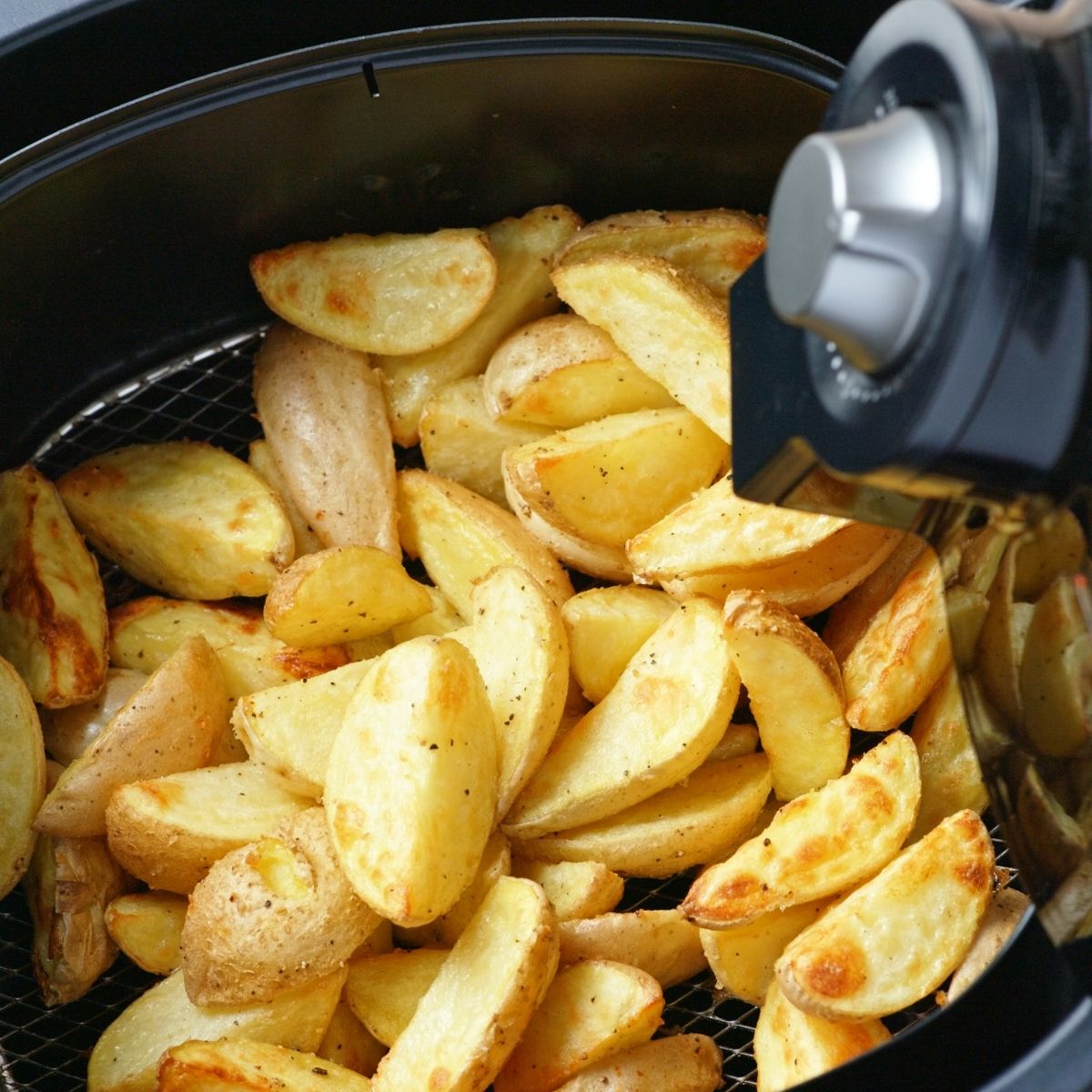 22 Kid-Friendly Air Fryer Recipes That Will Make You Drool - The Krazy  Coupon Lady